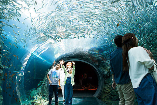日本一水族館に通い詰める研究者が厳選した「死ぬまでに一度行くべき水族館」
