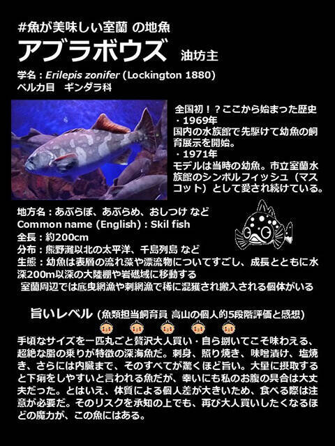 日本一水族館に通い詰める研究者が厳選した「死ぬまでに一度行くべき水族館」