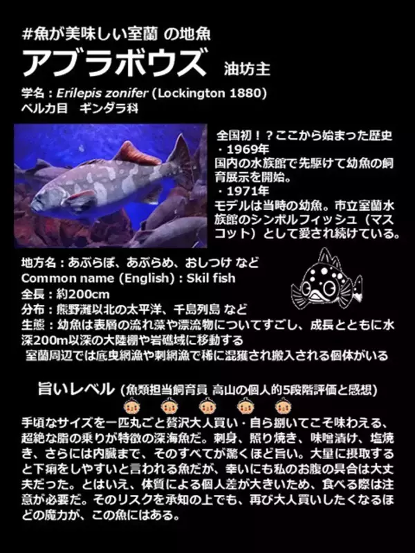 「日本一水族館に通い詰める研究者が厳選した「死ぬまでに一度行くべき水族館」」の画像