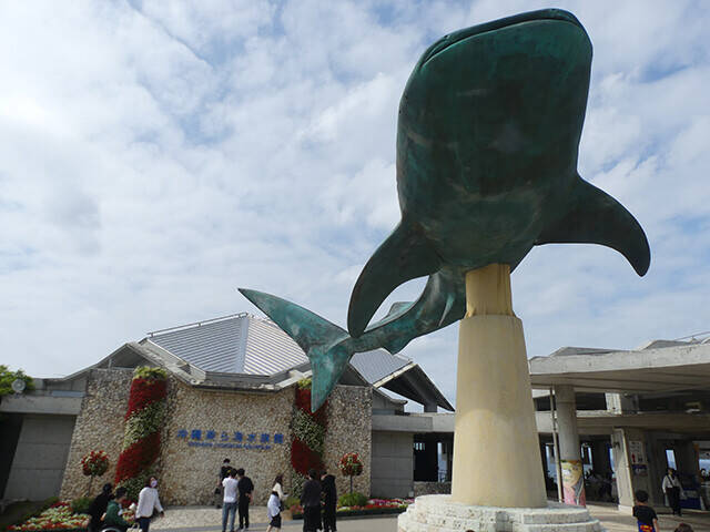 日本一水族館に通い詰める研究者が厳選した「死ぬまでに一度行くべき水族館」