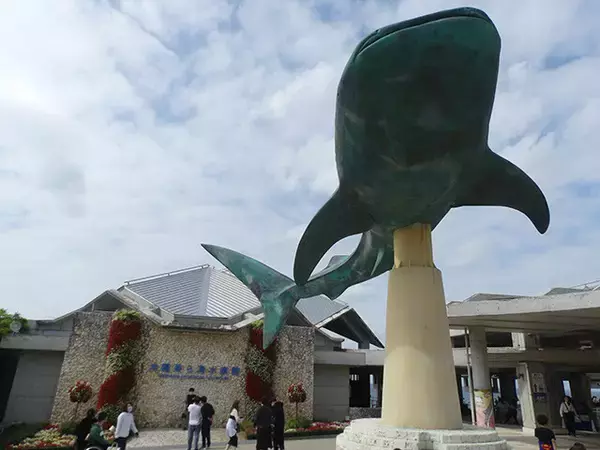 「日本一水族館に通い詰める研究者が厳選した「死ぬまでに一度行くべき水族館」」の画像