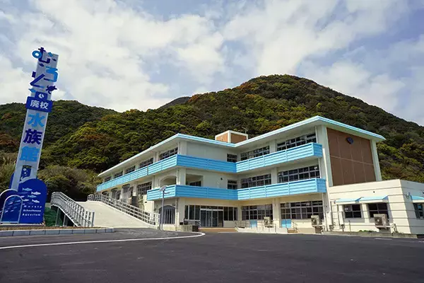 「日本一水族館に通い詰める研究者が厳選した「死ぬまでに一度行くべき水族館」」の画像