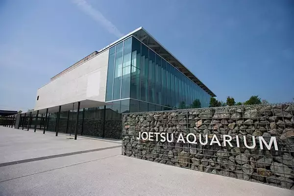 「日本一水族館に通い詰める研究者が厳選した「死ぬまでに一度行くべき水族館」」の画像