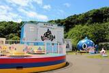 「日本一水族館に通い詰める研究者が厳選した「死ぬまでに一度行くべき水族館」」の画像36