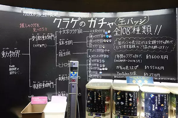 「日本一水族館に通い詰める研究者が厳選した「死ぬまでに一度行くべき水族館」」の画像