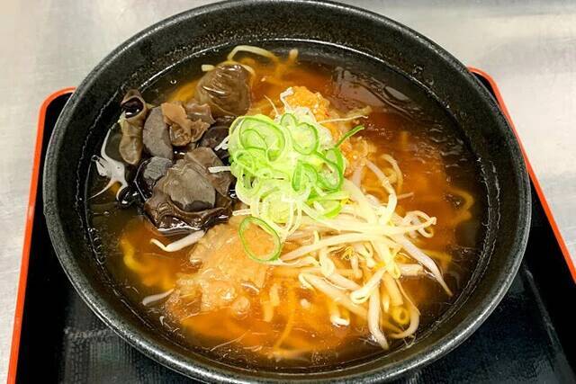 日本一水族館に通い詰める研究者が厳選した「死ぬまでに一度行くべき水族館」
