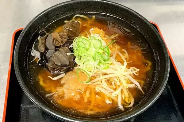 「日本一水族館に通い詰める研究者が厳選した「死ぬまでに一度行くべき水族館」」の画像