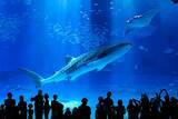 「日本一水族館に通い詰める研究者が厳選した「死ぬまでに一度行くべき水族館」」の画像9