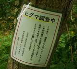 「相次ぐクマ遭遇事故は自治体の頭数調査が招いた「人災」だった!?」の画像6