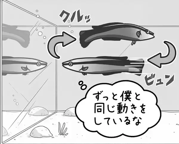 「【びっくり仰天サイエンス対談】動物の知性研究はここまできた!!　幸田正典×山極寿一「魚の心とゴリラの心」」の画像