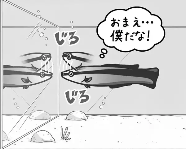 「【びっくり仰天サイエンス対談】動物の知性研究はここまできた!!　幸田正典×山極寿一「魚の心とゴリラの心」」の画像