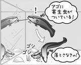 「【びっくり仰天サイエンス対談】動物の知性研究はここまできた!!　幸田正典×山極寿一「魚の心とゴリラの心」」の画像9