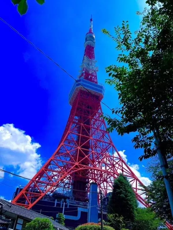 ワルチング・マチルダ～メルボルン、ゴールドコースト、シドニー（1）【「新型コロナウイルス学者」の平凡な日常】