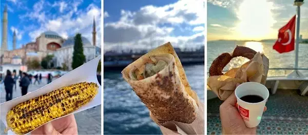 「メルハバ！　べニム・アドゥム・ケイサトウ！～イスタンブール（前編）【「新型コロナウイルス学者」の平凡な日常】」の画像