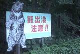 「熊を撃つよりシカを撃て!?　現役ハンターが指摘する意外な「熊害防止策」」の画像1