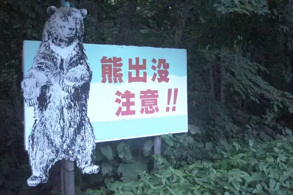 熊を撃つよりシカを撃て!?　現役ハンターが指摘する意外な「熊害防止策」