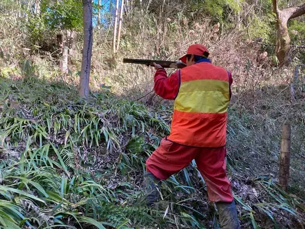 「熊を撃つよりシカを撃て!?　現役ハンターが指摘する意外な「熊害防止策」」の画像