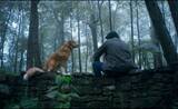 「日本有数の映画ガイド・高橋ヨシキが『GOOD BOY／グッド・ボーイ』をレビュー！」の画像1