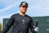 「今季MLBの"主役"は誰だ!?　WBCでも躍動の日本人メジャーリーガーの現在地は...？」の画像10