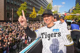 「【プロ野球2026 セ・リーグ展望】「阪神1強」を止めるのは昨季唯一勝ち越した"あの球団"!?」の画像1