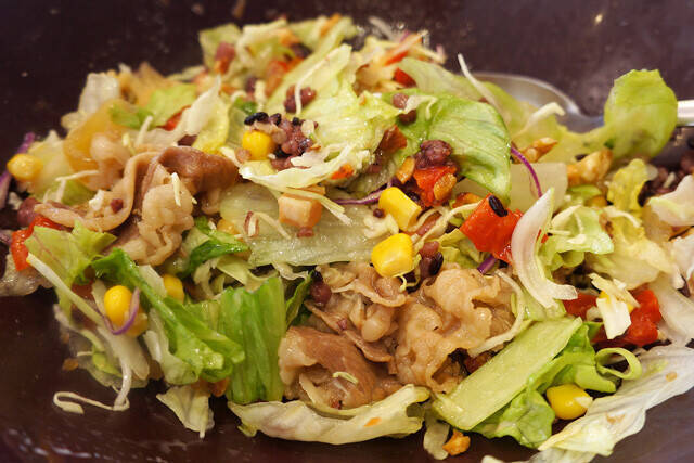 【お食事サラダ】究極にヘルシーな一食でありがながら酒のつまみとしても優秀すぎる「すき家」のお食事サラダとは!?：パリッコ『今週のハマりめし』第213回