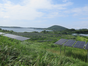 【現地ルポ】「日本最大の発電島」長崎県・宇久島カネと仕事、「メガソーラーから離れられない」切実な島民事情（後編）