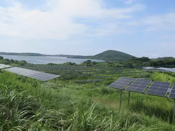 【現地ルポ】「日本最大の発電島」長崎県・宇久島カネと仕事、「メガソーラーから離れられない」切実な島民事情（後編）
