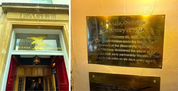 「【「新型コロナウイルス学者」の平凡な日常】G2P-Japanイギリスツアー2024～ケンブリッジ、グラスゴー（中編）」の画像