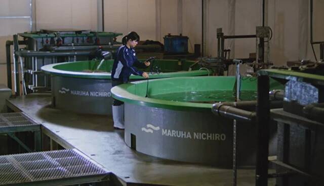 培養魚肉の開発はここまできた!!【マルハニチロ】"水面下"で進行する食の大変革。キープレイヤーを直撃!!　おさかなテック最前線（Part.2）