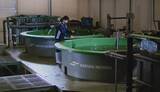 「培養魚肉の開発はここまできた!!【マルハニチロ】"水面下"で進行する食の大変革。キープレイヤーを直撃!!　おさかなテック最前線（Part.2）」の画像3
