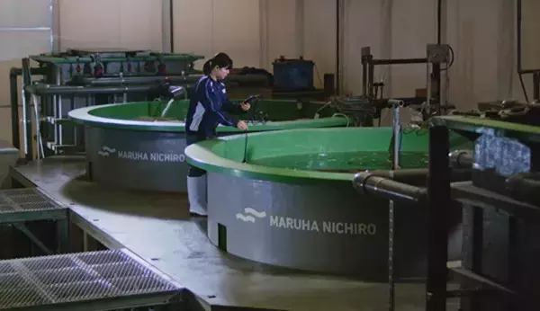 「培養魚肉の開発はここまできた!!【マルハニチロ】"水面下"で進行する食の大変革。キープレイヤーを直撃!!　おさかなテック最前線（Part.2）」の画像