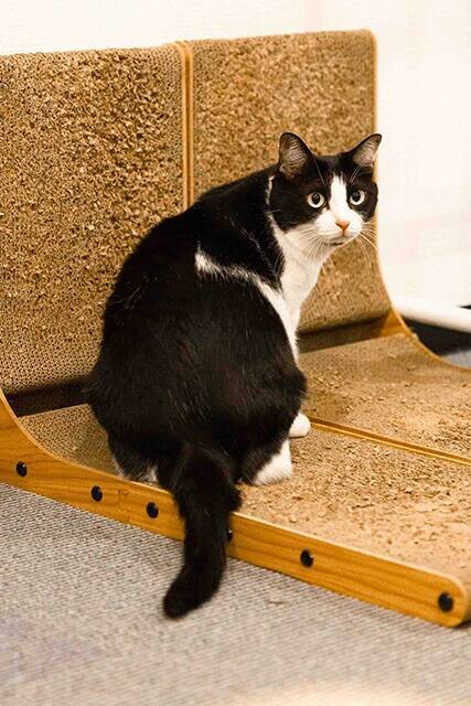 【お悩み相談連載：さらば青春の光・東ブクロの『こわいもんなし』】「地雷女の見極めポイントはラインの連投、最中のカラコン、金髪プリン」