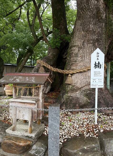 サマージャンボ2026「プレミアム」攻略法!!　昨年、1等が2本も出た徳島「奇跡の売場」の謎を解く！
