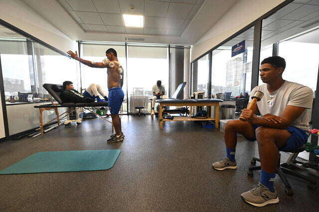 WBC最強ライバル国・ドミニカの知られざるディープな世界！「10代前半で契約金8億円を約束」「メジャーのスター選手を輩出する裏側」