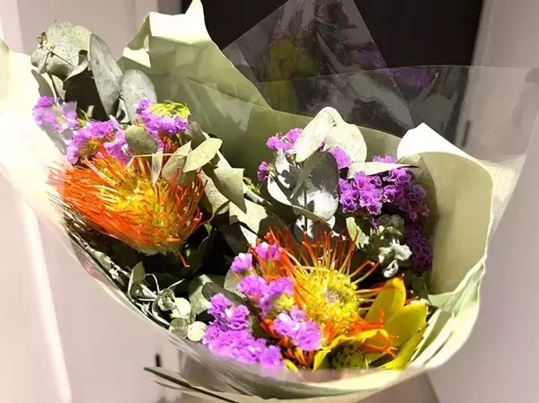 「ワルチング・マチルダ～メルボルン、ゴールドコースト、シドニー（2）【「新型コロナウイルス学者」の平凡な日常】」の画像