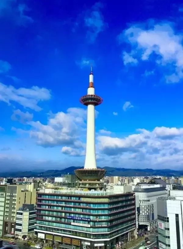 ワンピースと夢【「新型コロナウイルス学者」の平凡な日常】