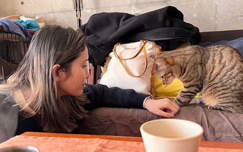 猫の比喩に頼りすぎな日本語の実態に、市川紗椰が物申す！