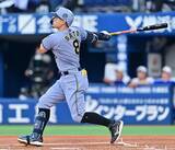 「NPBとMLBを席巻する"最強バッター"を徹底分析!!　サトテル＆アルバレス「史上初の日米同時三冠王」爆誕!?」の画像1