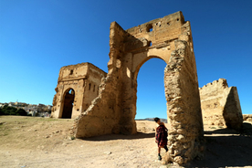 旅人マリーシャの世界一周紀行：第１０１回「モロッコの『迷路都市』フェズ散歩で見つけた珍百景！」