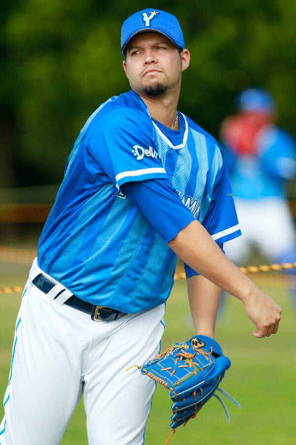 金持ち球団は 保険 も高額 プロ野球 新外国人選手 の実力は 18年3月19日 エキサイトニュース