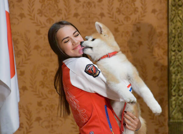 ザギトワもびっくり 世界的ブームの陰で ニセ秋田犬 が増殖中 18年6月7日 エキサイトニュース