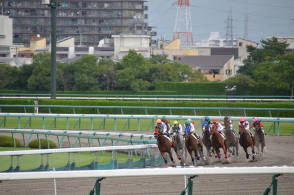 ミラクルおじさん の奇跡再び 宝塚記念は じゃないほう馬券 で上半期の負けを取り返せ 19年6月22日 エキサイトニュース