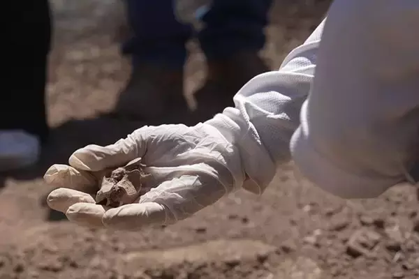 「【現地ルポ】「行方不明者の母たち」と見た、W杯開催に影を落とすメキシコ麻薬戦争のリアル」の画像