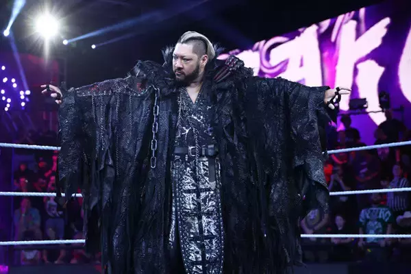 「EVIL⇒NARAKU、KENTA⇒ヒデオ・イタミ、華名⇒ASUKA、鈴木健想⇒ヒロヒト!?　WWE日本人レスラー"改名問題"の摩訶不思議」の画像