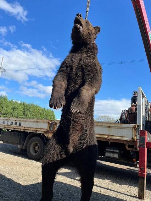 【クマ激増時代の最前線】北海道のすご腕プロハンターと歩いて見えた狩猟のリアル。冬眠明けの怪物を追う春の"熊撃ち"に密着！