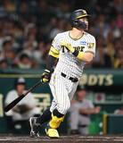 「プロ野球2026「大化け」する投手&野手は誰だ!?　総勢37人を全力分析!!」の画像2