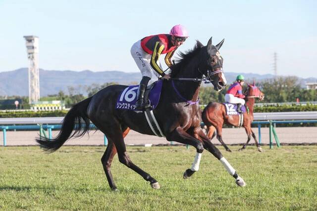 『週刊プレイボーイ』グラビア常連！　競馬大好き・豊島心桜の今年の"推し馬"大発表！