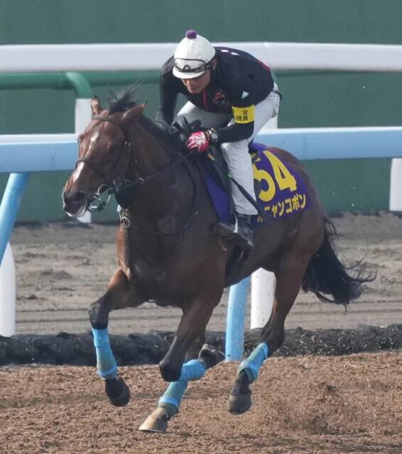 『週刊プレイボーイ』グラビア常連！　競馬大好き・豊島心桜の今年の"推し馬"大発表！