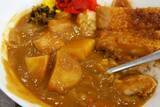 「【カツカレー】なぜ僕は、公共の食堂でいつもカツカレーを注文してしまうのだろうか：パリッコ『今週のハマりめし』第212回」の画像8