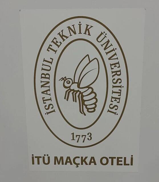 メルハバ！　べニム・アドゥム・ケイサトウ！～イスタンブール（後編）【「新型コロナウイルス学者」の平凡な日常】